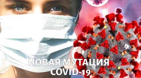 Геном COVID-19. Что мы знаем о мутациях коронавируса?