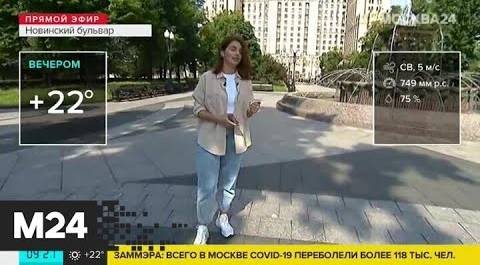 "Утро": до 25 градусов тепла ожидается в Москве в пятницу - Москва 24