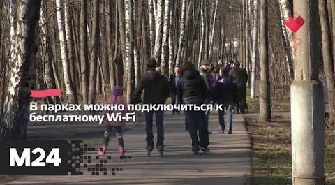 "Это наш город": Москву и область соединят парком - Москва 24