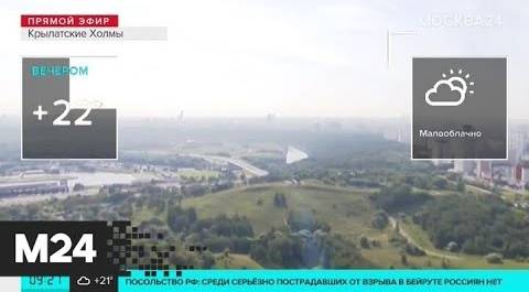 "Утро": ветер со скоростью 2 метра в секунду ожидается в Москве в среду - Москва 24