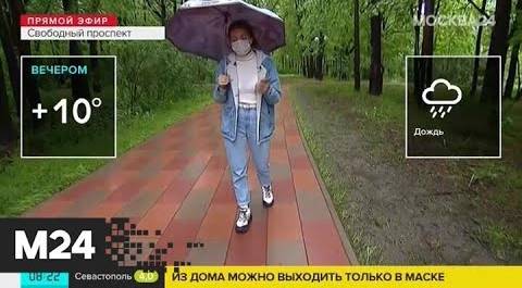 "Утро": влажность воздуха в Москве 1 июня достигнет 75 процентов - Москва 24