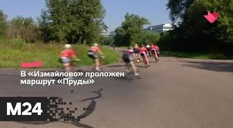 "Это наш город": в столице подготовили велосипедные маршруты по природным территориям - Москва 24