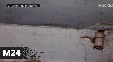 Жители пятиэтажки круглый год воюют с комарами и запахом канализации-"Спорная территория".Москва 24