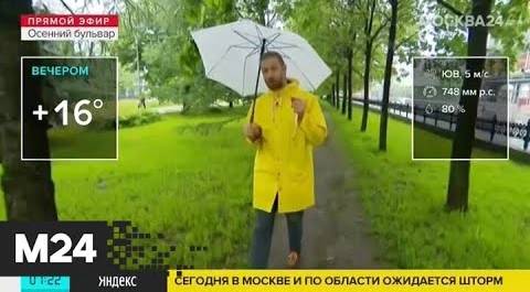 "Утро": штормовое предупреждение объявили в Москве - Москва 24