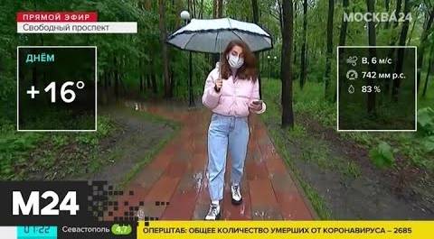 "Утро": дождливая погода ожидается в столичном регионе 3 июня - Москва 24