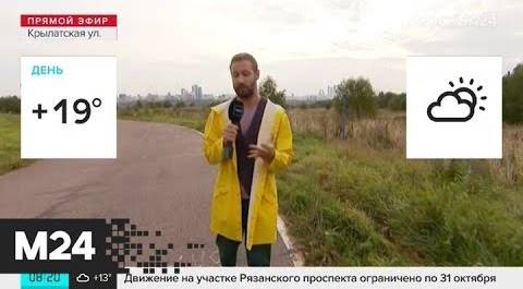 "Утро": москвичей предупредили о сильном ветре - Москва 24