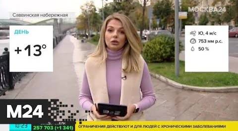 "Утро": переменная облачность и до 13 градусов тепла ожидаются в Москве 9 октября - Москва 24