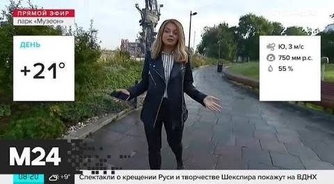 "Утро": ветер со скоростью 3 метра в секунду ожидается в Москве 24 сентября - Москва 24