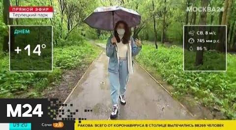 "Утро": высокая влажность ожидается в столице 2 июня - Москва 24