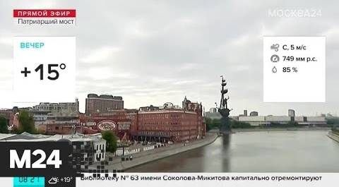 "Утро": влажность воздуха в Москве 1 сентября составит 85% - Москва 24