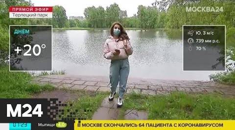 "Утро": переменная облачность ожидается в Москве 4 июня - Москва 24