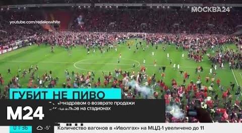 В Госдуме предлагают создать на стадионах места для трезвенников - Москва 24