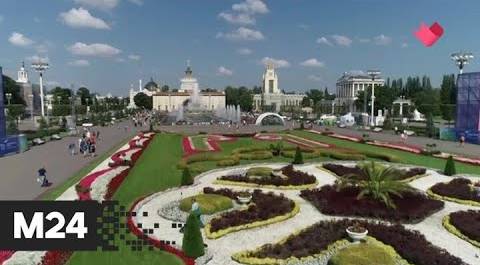 "Это наш город": рекордное количество цветов распустилось на ВДНХ в этом году - Москва 24