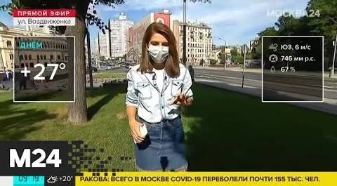 "Утро": пониженное атмосферное давление ожидается в Москве 3 июля - Москва 24