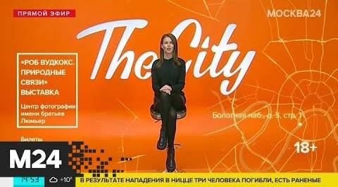 The City: "Крестная мама", "Природные связи" и Positions - Москва 24