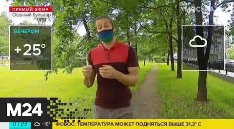 "Утро": жаркая погода ожидается в столичном регионе 18 июня - Москва 24