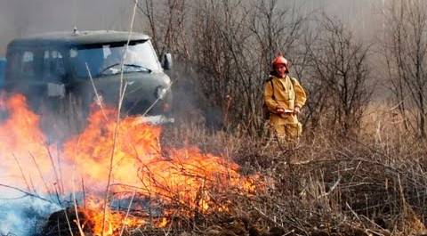 Хабаровск охватили природные пожары