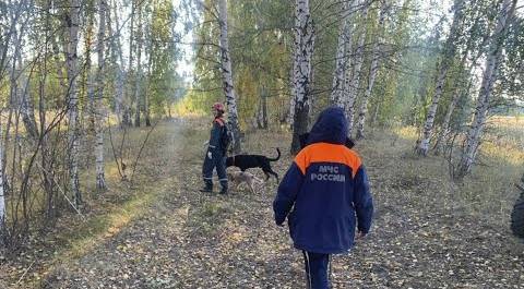 Заблудившихся в лесу женщин и ребенка спасли в Татарстане