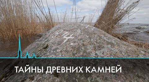Межевые камни в лесах Ленинградской области