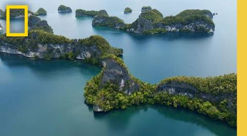 Raja Ampat: The Last Stronghold of Healthy Coral Reefs | National Geographic