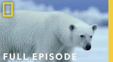 Polar (Full Episode) | Hostile Planet | National Geographic