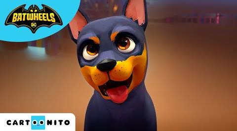 Запознайте се с кученцето на Батман | Batwheels | Анимационни филми за деца | Cartoonito