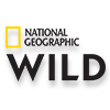 бесплатно смотреть видео канала National Geographic Wild