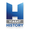 бесплатно смотреть видео канала Viju History