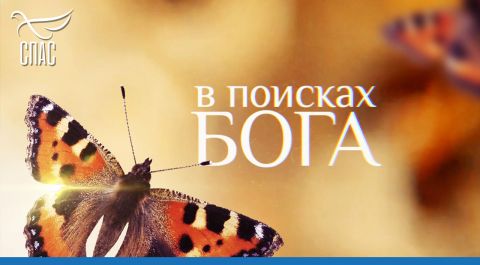 В поисках Бога