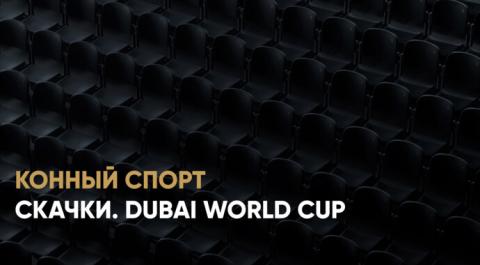 Смотреть онлайн трансляцию Cкачки. Dubai World Cup