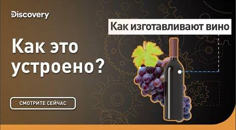 Как изготавливают вино | Как это сделано? | Discovery Channel