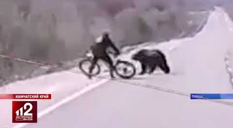 Нападение медведя на велосипедиста | видео