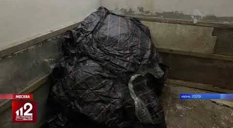 300 кило кокаина нашли в тайнике в Подмосковье