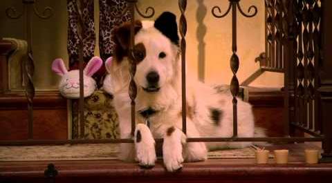 Сериал Disney - Собака точка ком (Сезон 1 Серия 9)