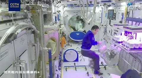Члены экипажа "Шэньчжоу-17" собрали космический урожай