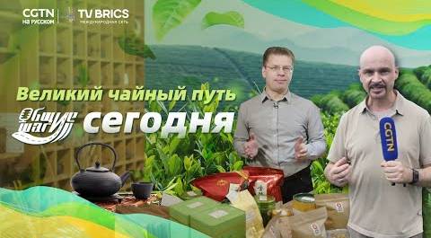 Возрождение Великого чайного пути из Китая в Россию