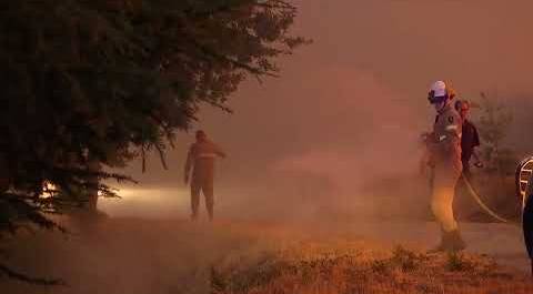Португалия взяла под контроль лесные пожары