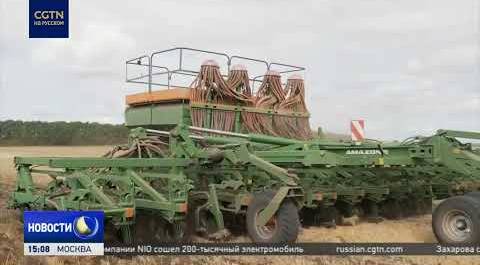 Как санкции повлияли на сельское хозяйство России