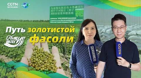 Путь золотистой фасоли из Узбекистана в Китай