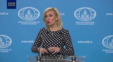 Мария Захарова: G20 должна продолжать работать на условиях консенсуса и равноправия всех ее членов