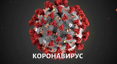 ⚡ COVID-19: Вероятность заразиться, меры профилактики, развитие вируса. Выпуск от 20 февраля 2020