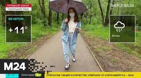 "Утро": дождливая погода ожидается в столичном регионе 2 июня - Москва 24