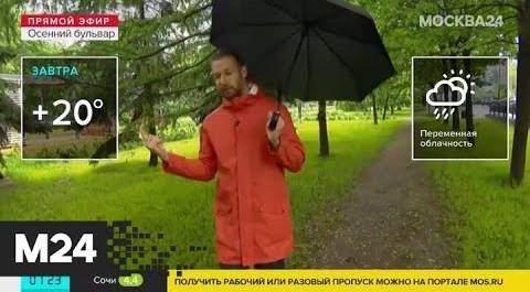 "Утро": до 18 градусов тепла ожидается в Москве в среду - Москва 24