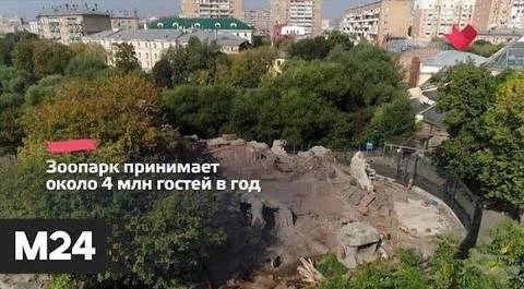 "Это наш город": Московский зоопарк изменит график работы с 1 сентября - Москва 24