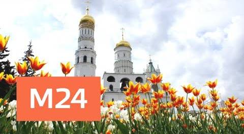 Как столица встретит День семьи, любви и верности - Москва 24