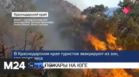"Москва и мир": пожары на юге и Калифорния в огне - Москва 24