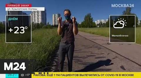 "Утро": арктическая воздушная масса пришла в столичный регион - Москва 24