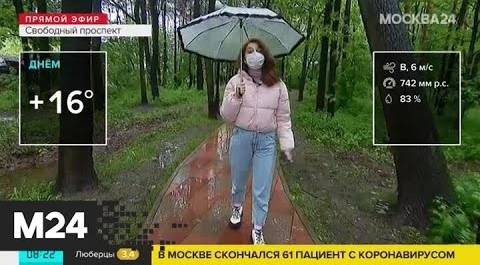 "Утро": до 16 градусов тепла ожидается в Москве в среду - Москва 24