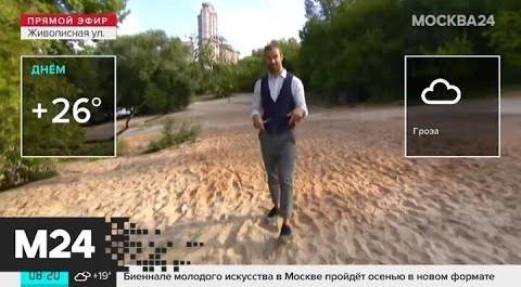 "Утро": теплая погода ожидается в столичном регионе 6 августа - Москва 24