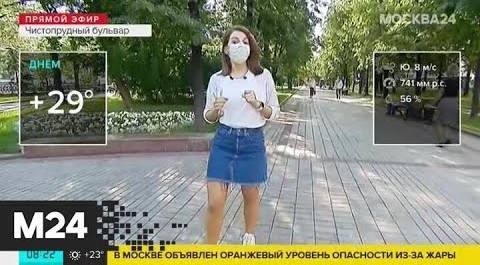 "Утро":  москвичей предупредили о жаре во вторник - Москва 24